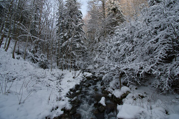 Winter bei Le Hohwald in den Vogesen