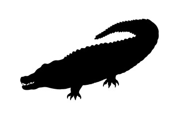 Crocodile, alligator, silhouette. Vector stock illustration eps 10.