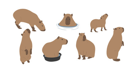 capybara 4 cute on a white background, vector illustration. capybara is the largest rodent.