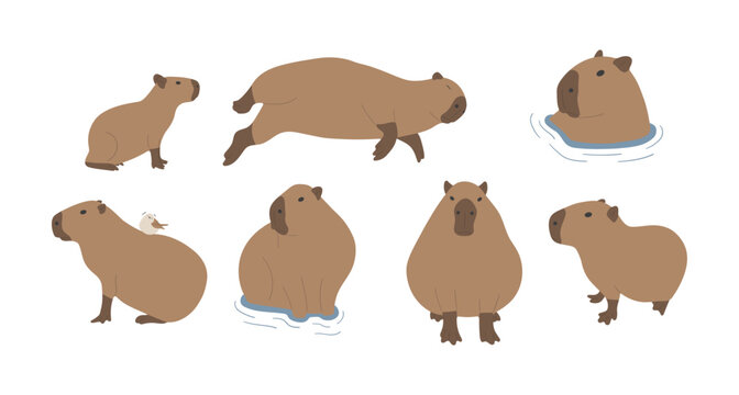 capybara 5 cute on a white background, vector illustration. capybara is the largest rodent.