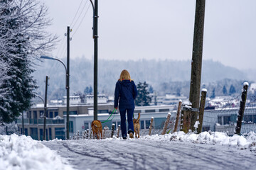 Young blond hair woman walking with two dogs on leash at snow covered rural road at City of Z&uuml;rich. Photo taken December 17th, 2022, Zurich, Switzerland.