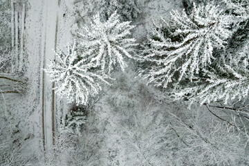 Top view of snow covered trees with pathway at forest of City of Zürich on a snowy winter day. Photo taken December 17th, 2022, Zurich, Switzerland.
