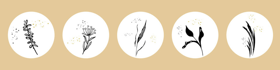 Set of Drawn Doodle Botanical Abstract in Circle Shape. Icons with Shapes, Grasses, Plants and Wildflowers in trendy style for Social Networks Instagram. Vector illustration isolated