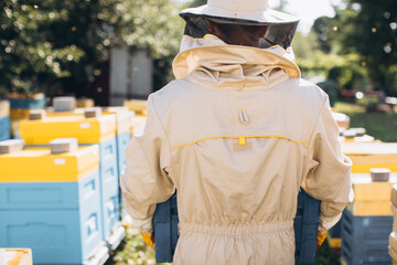 A male beekeeper in a protective suit holds a beehive in an apiary, back view