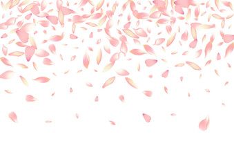 Pastel Lotus Petal Vector White Background. Pink