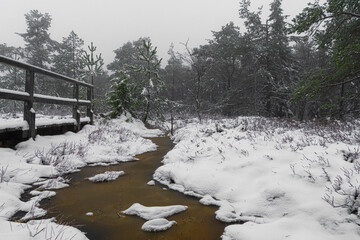 Winterlandschaft Rhön- Impressionen aus dem Schwarzen Moor 22 © Holger W. Spieker