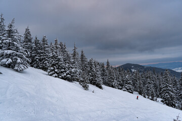 Fototapeta premium snow covered mountains