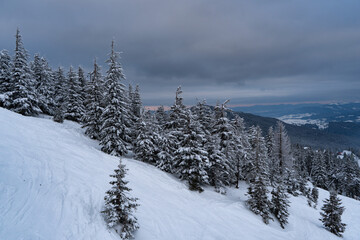 winter in the mountains