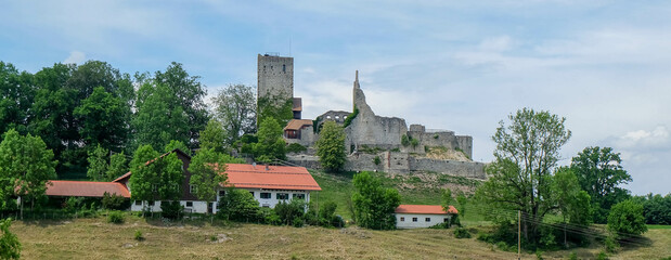 Burgruine im Sommer