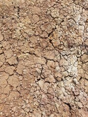 close up arid land for background or wallpaper. No People