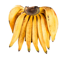 Banana Da Terra bunch, in Portuguese, one of the many banana varieties consumed in Brazil. png...