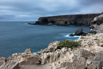 Fototapeta na wymiar White cliff with plant overlooking the Atlantic Ocean