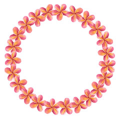 Round frame made of plumeria frangipani garland. Floral design. Hawaiian blossom. Hand-drawn watercolor illustration isolated on white background.