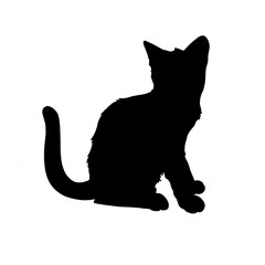 silhouette of black cat