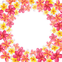 Frame made of plumeria frangipani garland. Floral design. Hawaiian blossom. Hand-drawn watercolor illustration isolated on white background