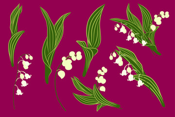 set lilies of the valley. Spring set with lily of the valley flowers and herbs. Botanical illustration.
