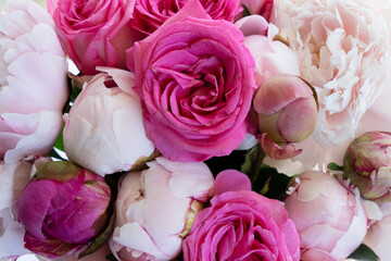 Fresh peonies flowers