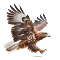 Fototapeten golden eagle isolated on white © I LOVE PNG