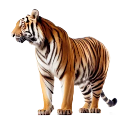 Wandcirkels aluminium tiger isolated on white background © I LOVE PNG