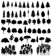 Spruce and Pine tree silhouette collection