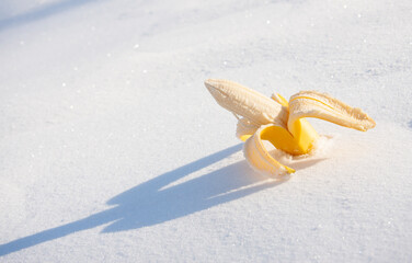 Banana on the snow close-up in good weather.