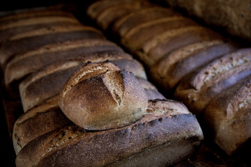 Photographie de pains bios réalisés par un boulanger dans son fournil.