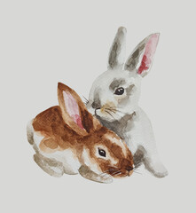 Watercolor white and brown rabbits illustration. Cute easter bunnies. Hare hand drawing art.