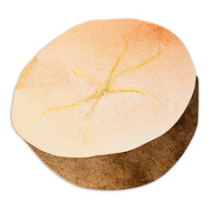 Hand-drawn watercolor papercut potato. Bright cute kawaii kidcore style illustration, good for farmers market, supermarket products design, stickers or postcards