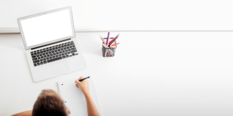 school at home through online homeschooling. the child is sitting at the computer