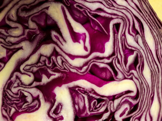 closeup isolated slice red cabbage Brassica. Tasty purple healthy vegetable.