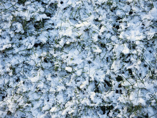 Textura suelo nevado césped hierba jardín