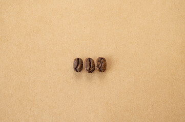 並んだコーヒー豆　ジャガーハニー