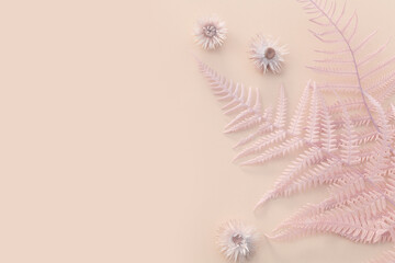 Top view image of pastel monochromatic fiddlehead ferns over beige background .Flat lay