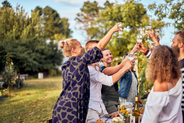 Smiling family and friends toasting outdoors