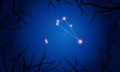 Vector illustration Triangulum constellation. Tree branches, dark blue starry sky