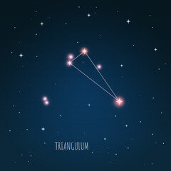 Obraz na płótnie Canvas Constellation scheme in starry sky. Open space. Vector illustration Triangulum constellation through a telescope