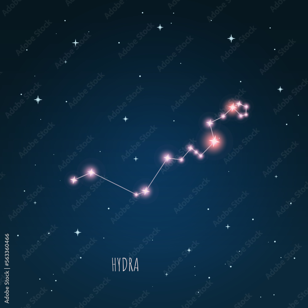 Canvas Prints constellation scheme in starry sky. open space. vector illustration hydra constellation through a te