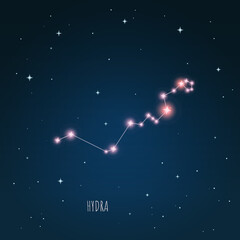 Obraz na płótnie Canvas Constellation scheme in starry sky. Open space. Vector illustration Hydra constellation through a telescope
