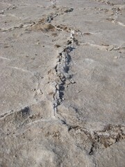 Salt Crust Pattern Line on Ground at Badwater Basin, Death Valley