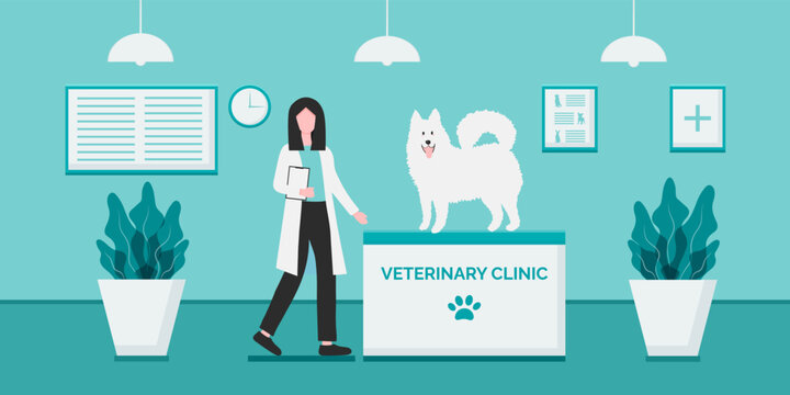 Illustration in vector for veterinary clinic wide background in blue green color. Doctor and a white dog on medical examination
