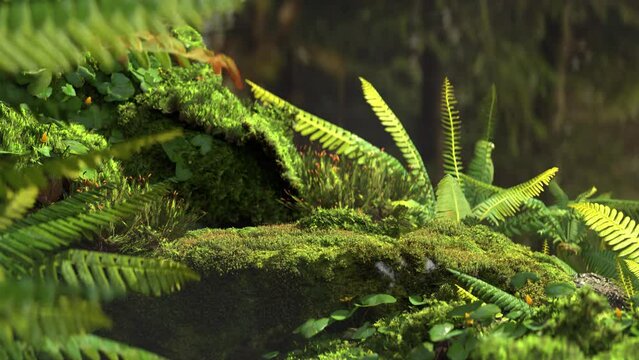 3d animation forest moss and plant with natural wind .Realistic 3d rendering scene generate background conceptual.