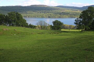 Obraz premium Loch Tay - Perth and Kinross - Scotland - UK