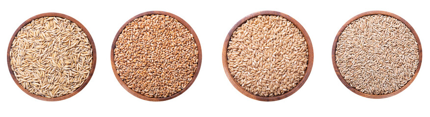 bowls of wheat, oats, barley and rye grains isolated on transparent background, top view
