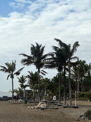 Fototapeta na wymiar Paisaje vacacional playa con tumbonas y palmeras