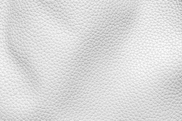 Plakat White leather texture luxury background