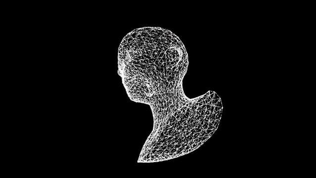 3D womans head model consisting of lines and dots rotates 3 axes 60FPS. Science concept, object made of molecules. Tutorial Video. Abstract bg for logo, title, concept, presentation. 3D animation