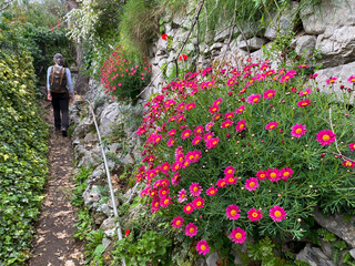 A woman hiking to the famous sentiero degli dei path at the Amalfi coast, Italy