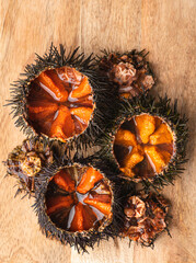 Sea urchins (ricci di mare) or uni, on the wooden background.  Delicious seafood from Mediterranean...
