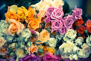 Colorful bunches/dozen roses stacked