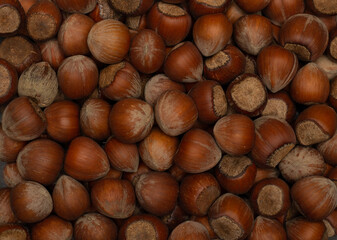 background of hazelnuts